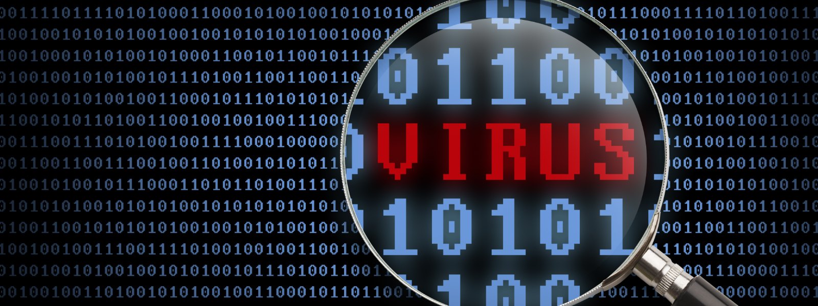 Virus Removal Wood Dale IL